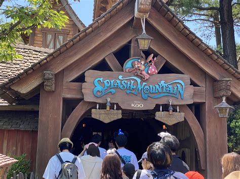 Entrance of Splash Mountain, Tokyo Disneyland : r/disneyparks