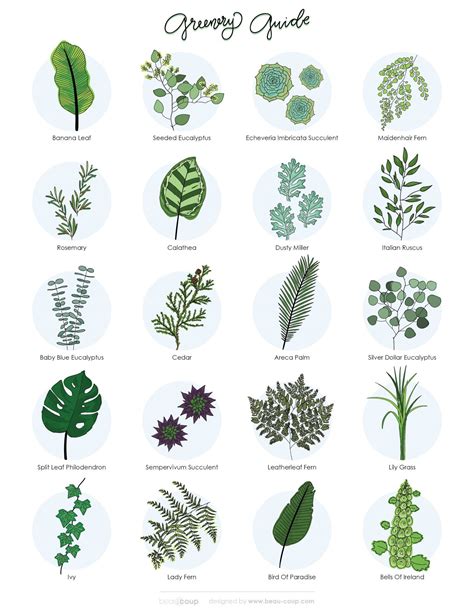 The Greenery Guide: 20 Of Our Favorite Greens & How To Use Them In Your ...