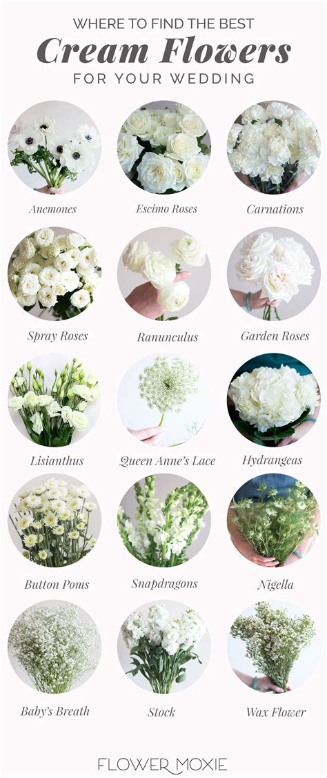 Cream and White Wedding Flowers | Bulk Fresh Wedding Flowers | Fresh ...