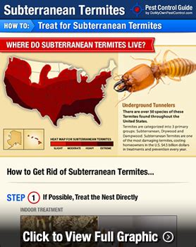 How to Get Rid of Termites | Subterranean Termite Treatment Guide