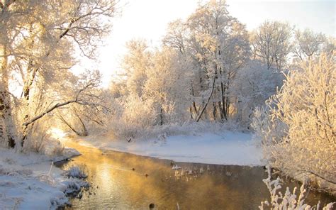 Picture Winter Nature Seasons