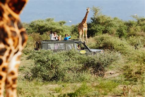 Design your Murchison Falls safari online | Timbuktu Travel