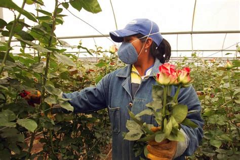 Growing flowers locally is important too, not just food