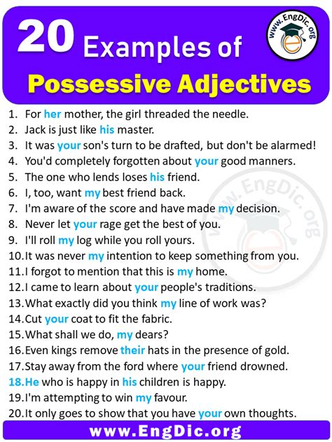 20 Examples of Possessive Adjectives – EngDic