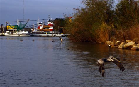 MB Simply: A Short Stay in Jean Lafitte, Louisiana