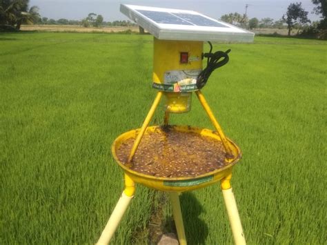 SAFS Yellow Solar LED Insect Light Trap (With Stand), For Agriculture ...