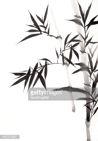 Bamboo Leaf Stock Vector | Royalty-Free | FreeImages