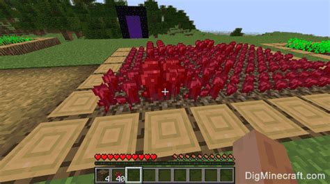 How to Make a Nether Wart Farm in Minecraft