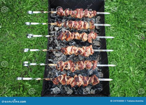 Shish kebab stock photo. Image of grill, coal, charcoal - 24703008