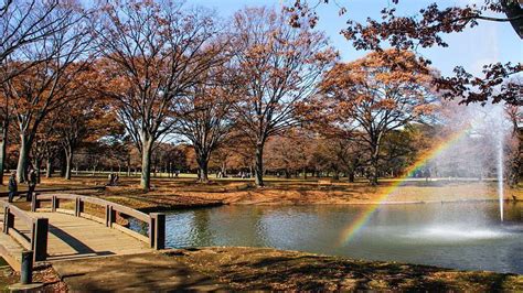 Yoyogi Park (Yoyogi Koen) - Tokyo Travel