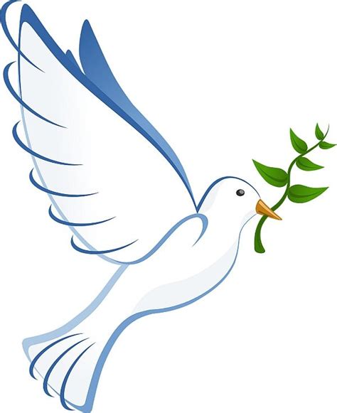 a white dove flying with a green twig in it's beak and wings