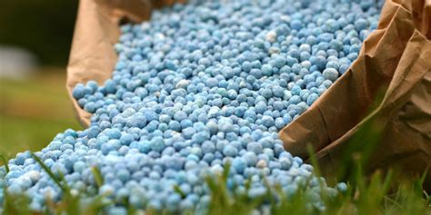 The Basics of Fertilizer | Living Color Garden Center