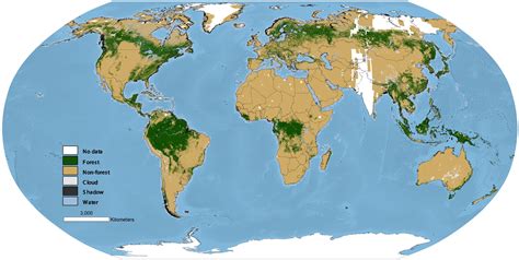 Researchers create global map of world's forests circa 1990