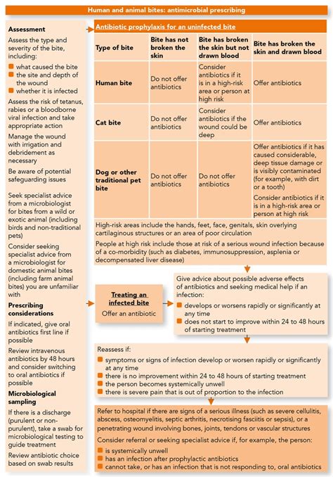 Bites, Human and Animal: Antimicrobial Prescribing