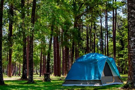 5 Things to Do in Apalachicola National Forest