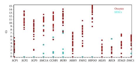 Expression of meiosis-related genes in oocyte-like cells developed in ...