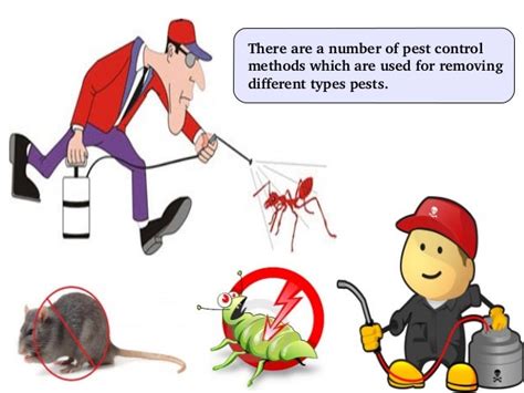 Various types of pest control methods