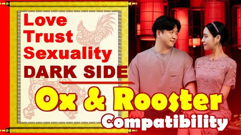 Ox and Rooster Compatibility in Love Life, Trust, Intimacy | Ox-Rooster ...