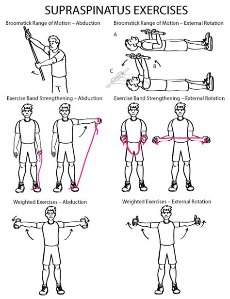 Supraspinatus Exercises