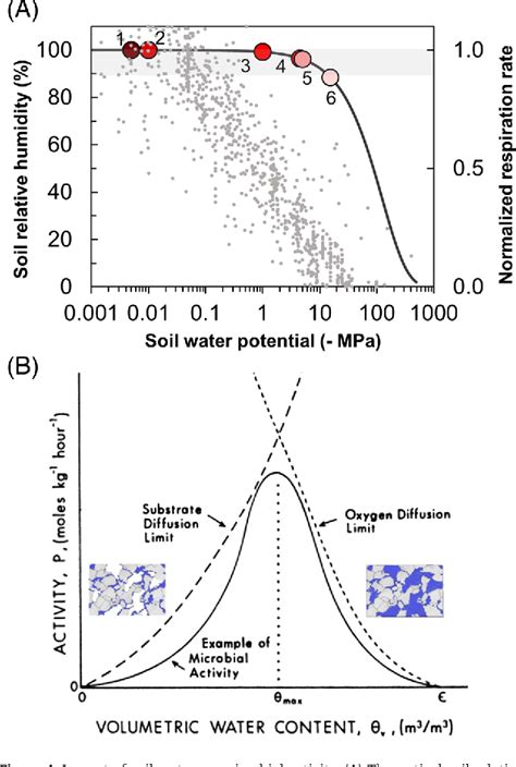 Biophysical Processes | Semantic Scholar