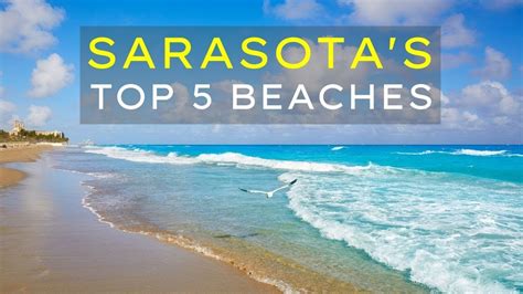 Sarasota Florida - The TOP 5 Beaches Not To Miss!!! - YouTube