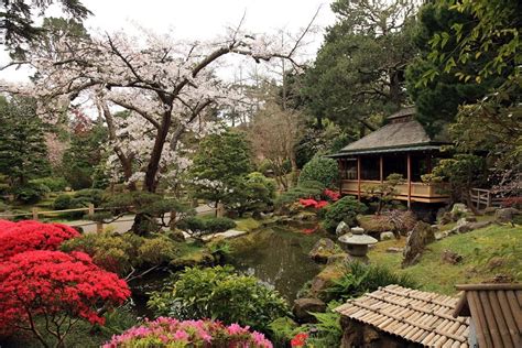 7 Japanese Tea Garden Ideas and Inspiration