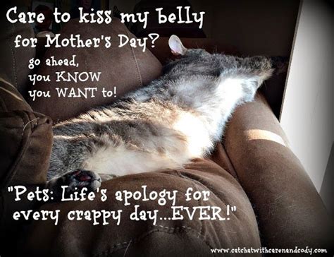 Cat and DOG Chat With Caren: It's Mother's Day!!