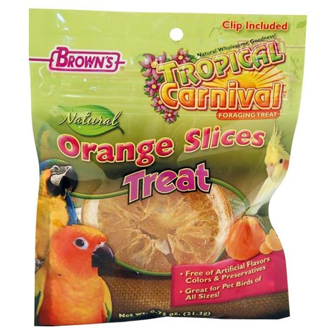 What fruits can parrots eat? - Parrot Essentials