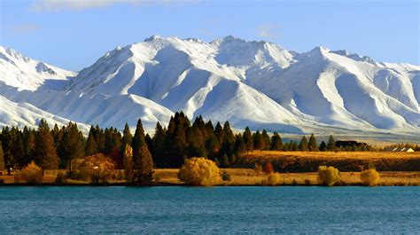 New Zealand In January: A Mini-Guide For Your Trip!