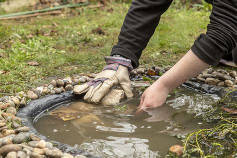 How to create a wildlife pond | Garden wildlife | Scottish Wildlife Trust