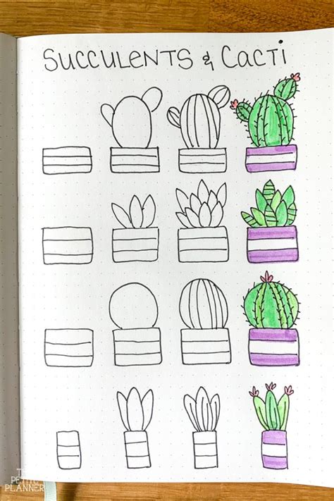 how to draw succulents step by step - lineartdrawingswallpaper