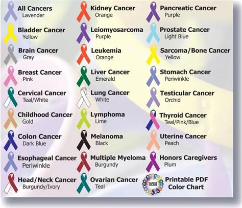 Cancer awareness ribbon colors | Relay | Pinterest | The ribbon, I dont ...