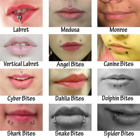 #piercing #lips #lippiercing | Piercing, Piercing bouche, Tableau des ...