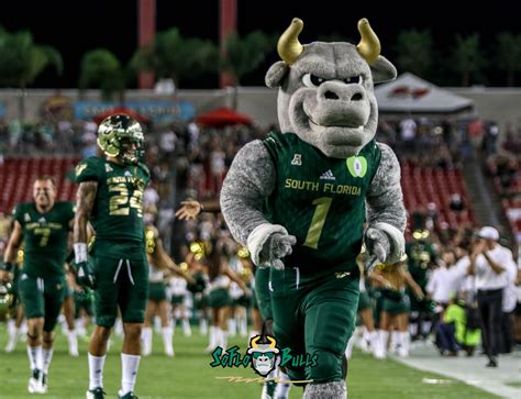 17A – USF vs. ECU 2018 – USF Mascot Rocky D. Bull by Will Turner ...