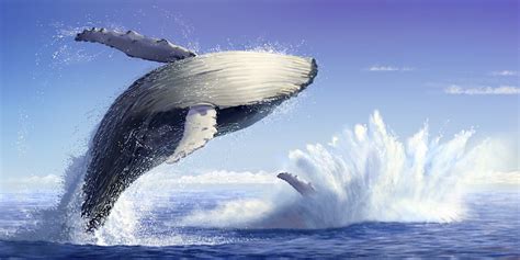 ArtStation - Breaching Whales