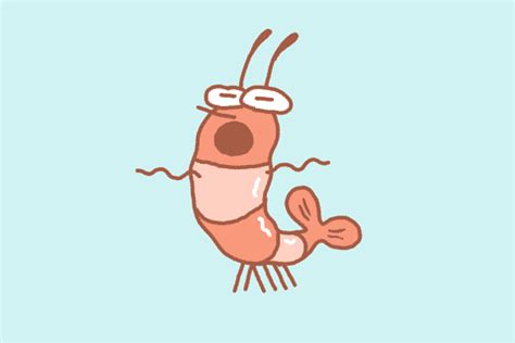 Happy Shrimp GIFs - Get the best GIF on GIPHY