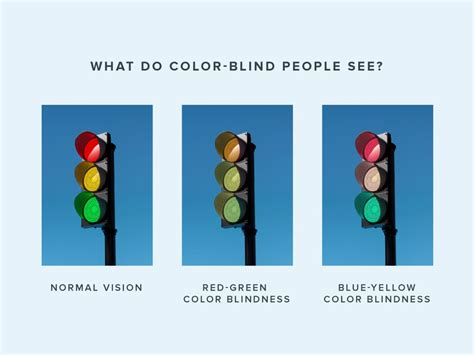 What Is Color Blindness? | Warby Parker