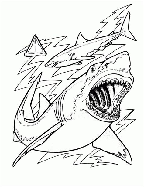 Free Printable Shark Coloring Pages For Kids | Shark coloring pages ...