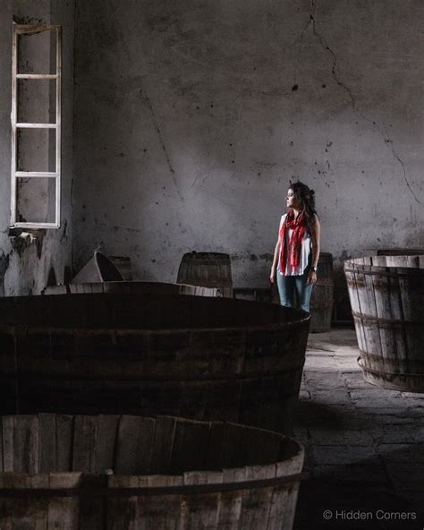 Traditional Pulque Fermentation Process in Wooden Vats