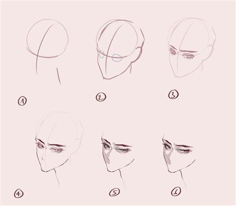 Face reference | Face drawing, Drawing tutorial face, Eye drawing