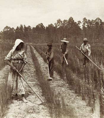 Unvanquished: Southern Women in the Civil War: Slaves Who Stayed ...