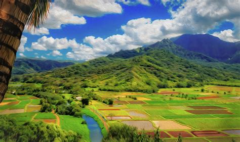 Hanalei Valley Lookout Photograph by Jade Moon