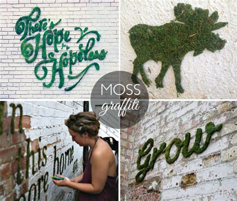 DIY Moss Graffiti Paint Results | Little Green Dot