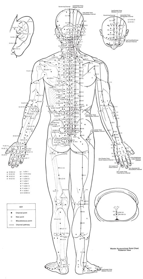 Back Acupuncture Points Chart, Acupressure Points, Reflexology Chart ...