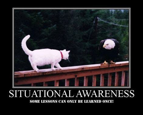 Situational Awareness :) | Funny posters, Funny inspirational quotes ...