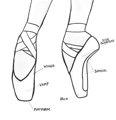 Pointe Shoe Diagram - exatin.info