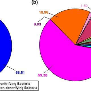 The percentage of denitrifying bacteria in the soil: (a) among all ...