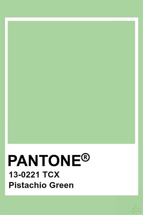 Pantone Pistachio Green | Color Palette