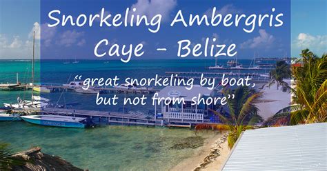 Ambergris Caye Snorkeling - Close Access To The Barrier Reef