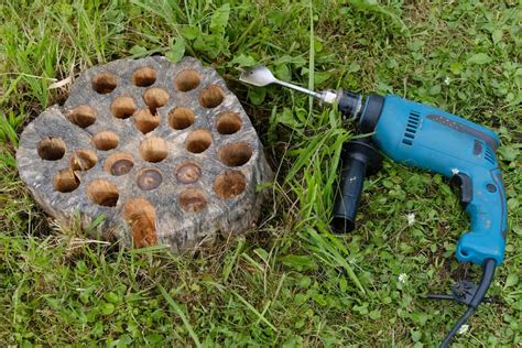 6 Tree Stump Removal Options to Get Rid of Stumps Painlessly